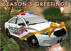 Ornament Police Christmas Card